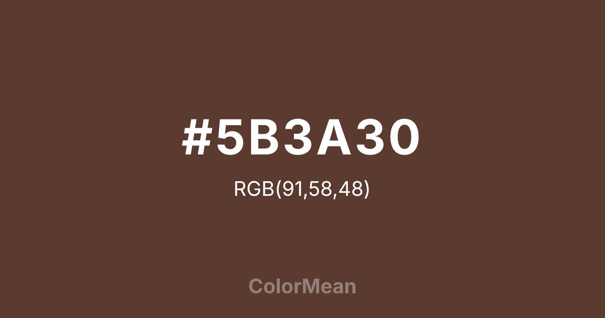 #5B3A30 color swatch