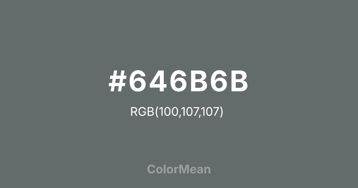 #646B6B color swatch