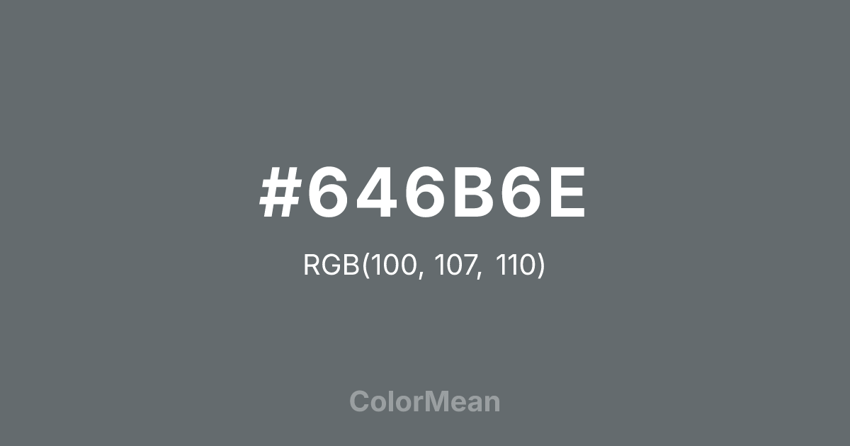 #646B6E color swatch