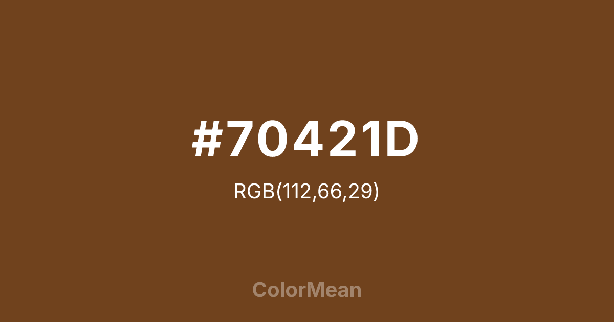 #70421D color swatch