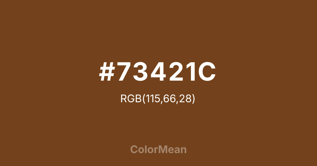 #73421C color swatch