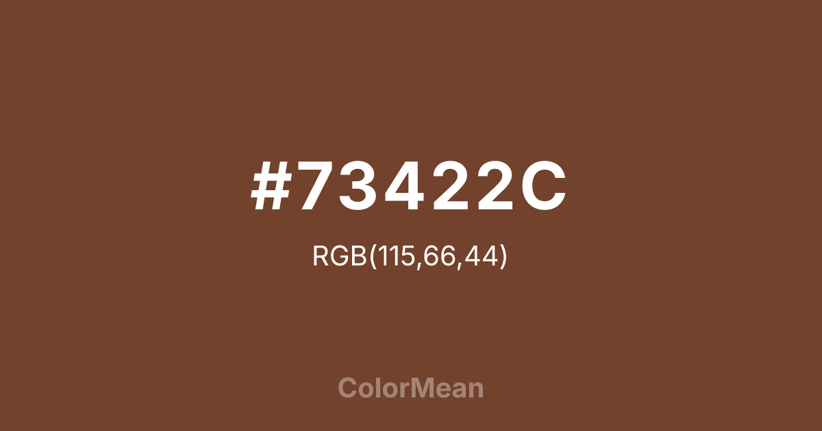 #73422C color swatch