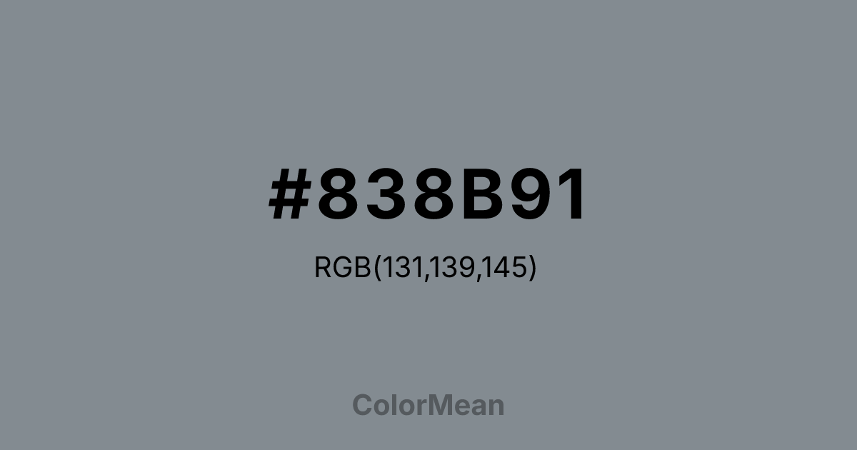 #838B91 color swatch