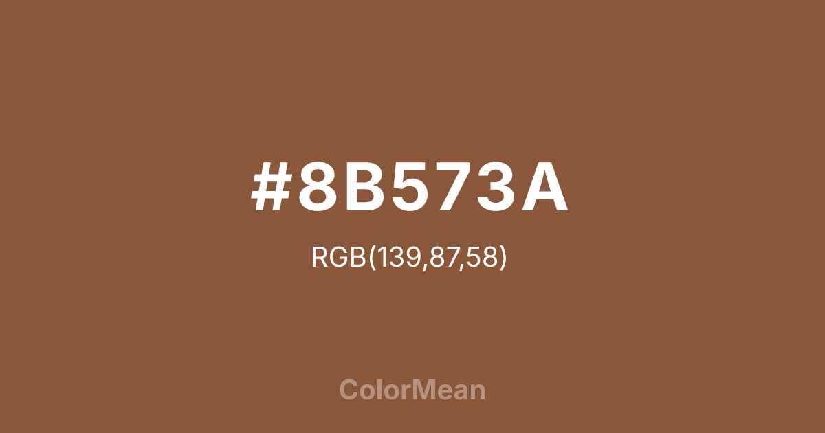 #8B573A color swatch
