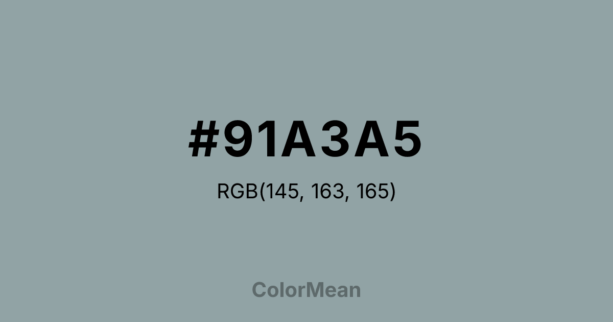 #91A3A5 color swatch