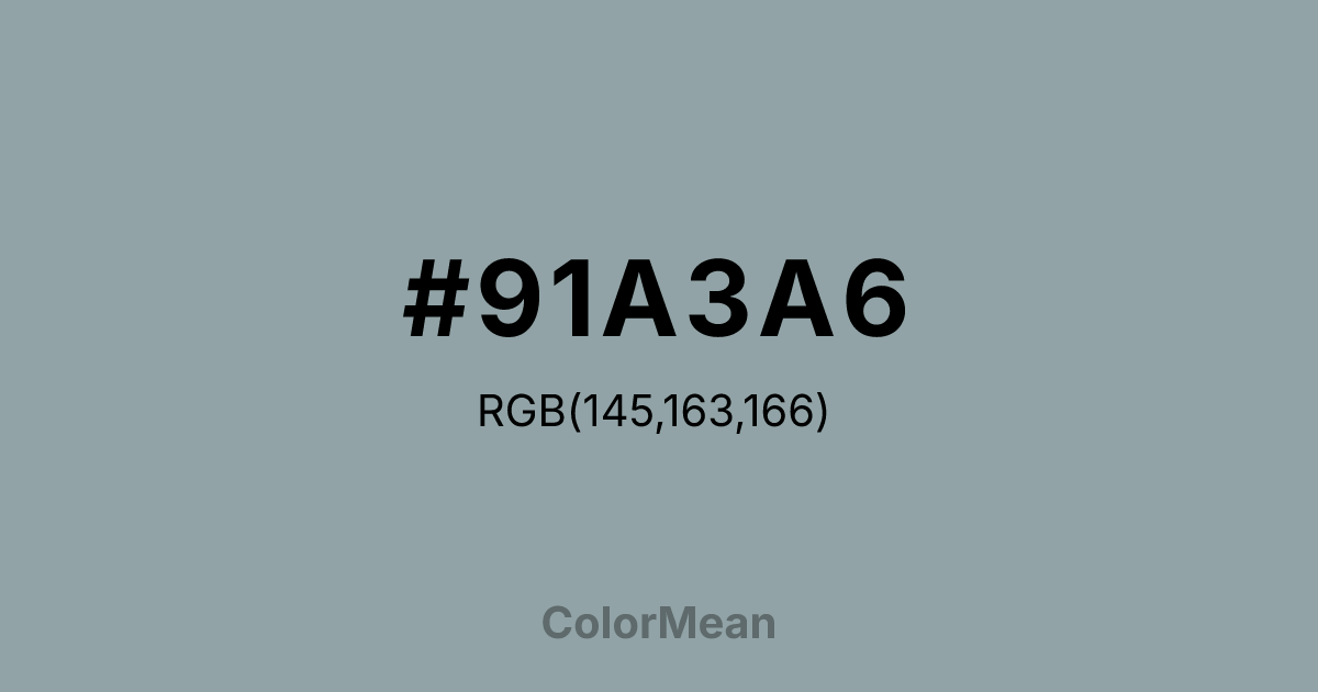 #91A3A6 color swatch