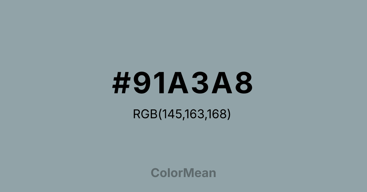 #91A3A8 color swatch