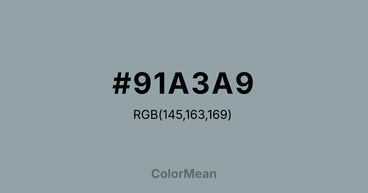 #91A3A9 color swatch