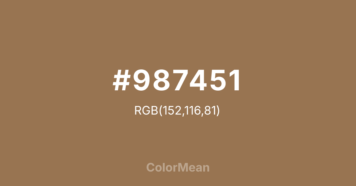 #987451 color swatch