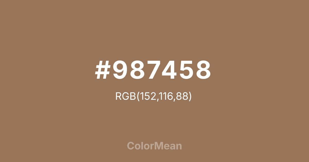 #987458 color swatch