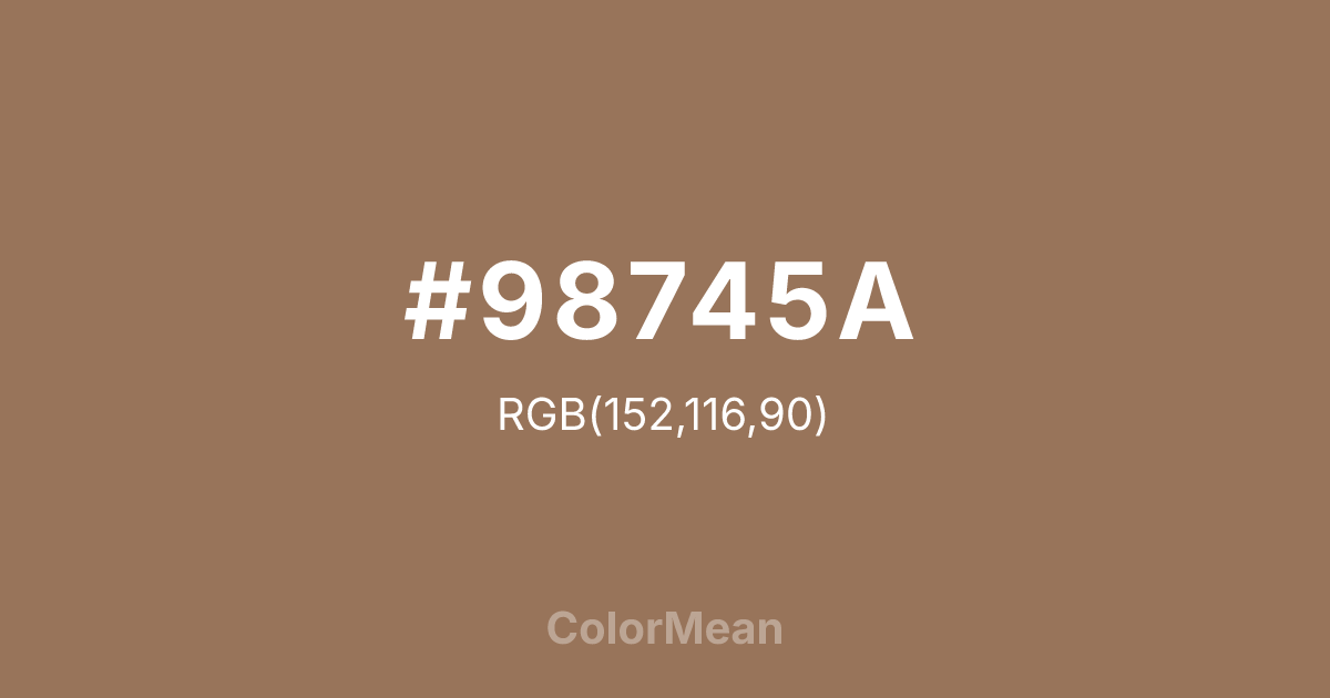 #98745A color swatch