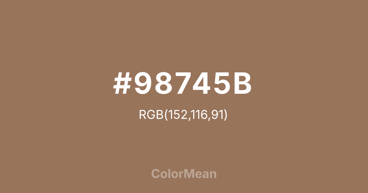 #98745B color swatch