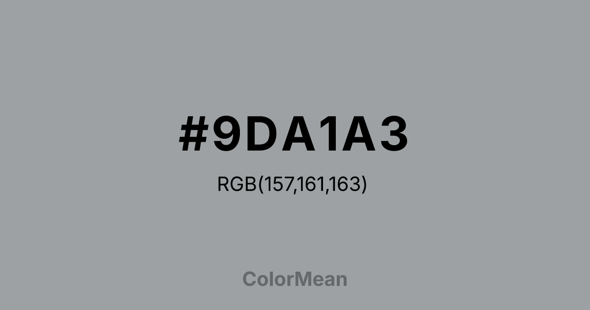 #9DA1A3 color swatch