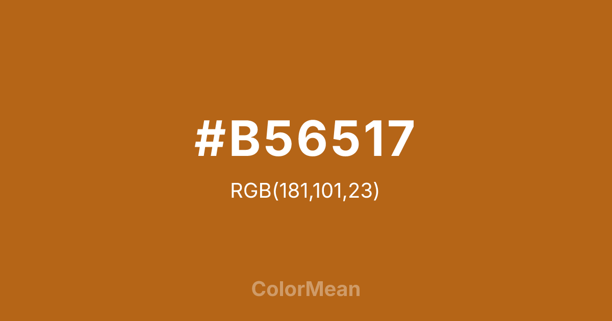 #B56517 color swatch