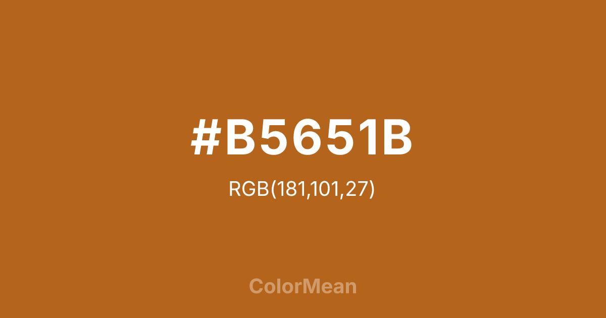 #B5651B color swatch