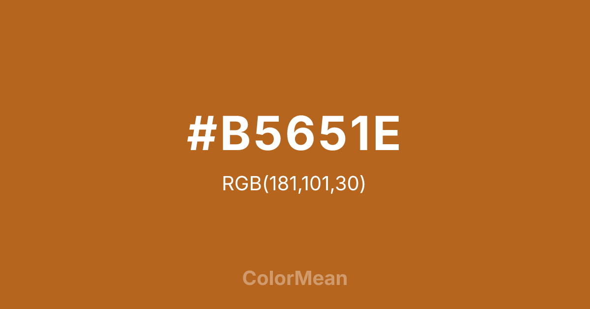 #B5651E color swatch