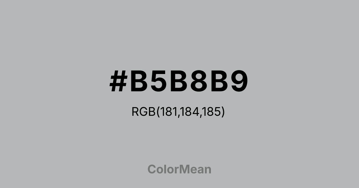 #B5B8B9 color swatch