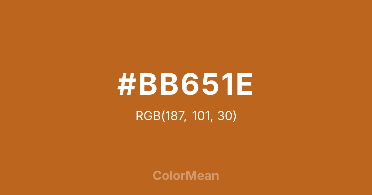 #BB651E color swatch