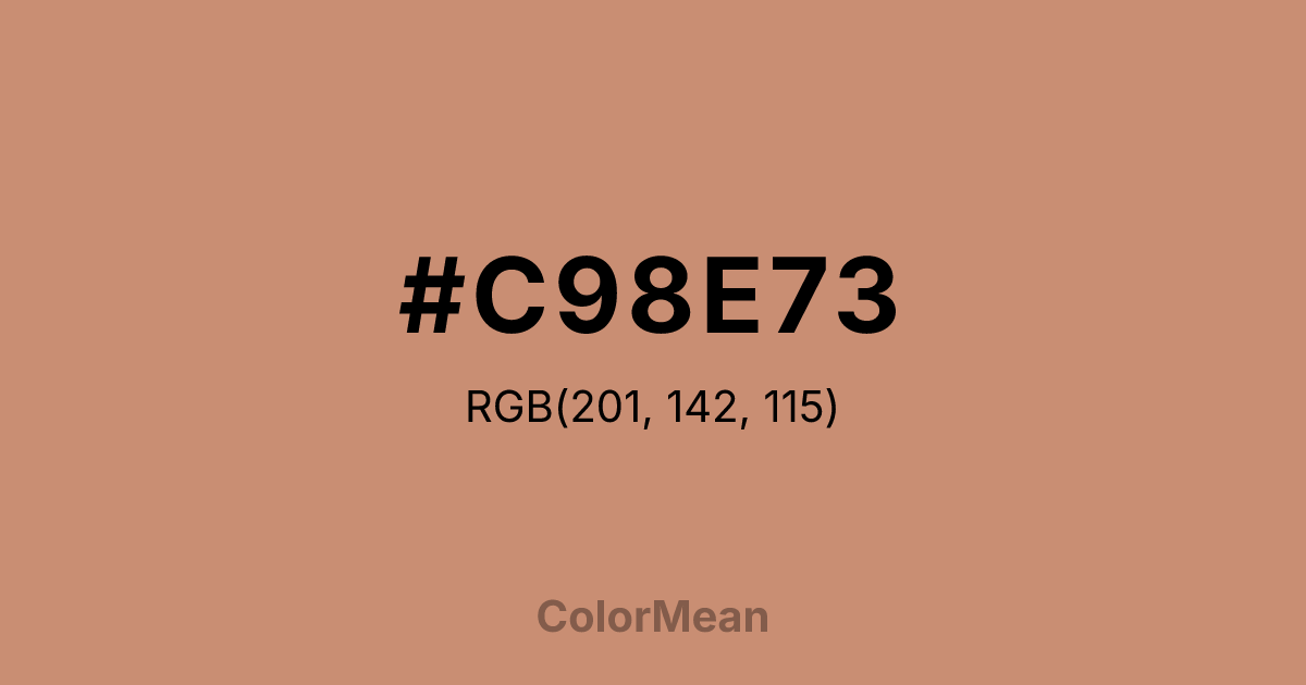 #C98E73 color swatch
