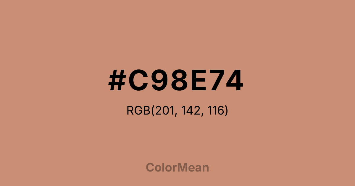 #C98E74 color swatch