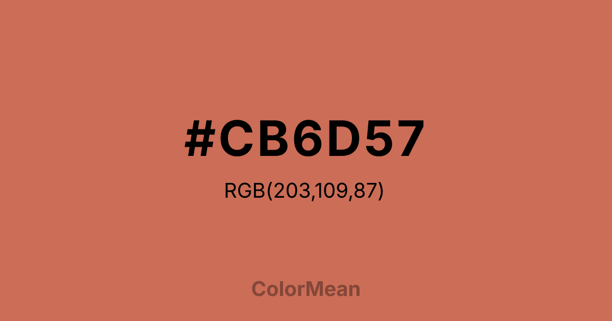 #CB6D57 color swatch