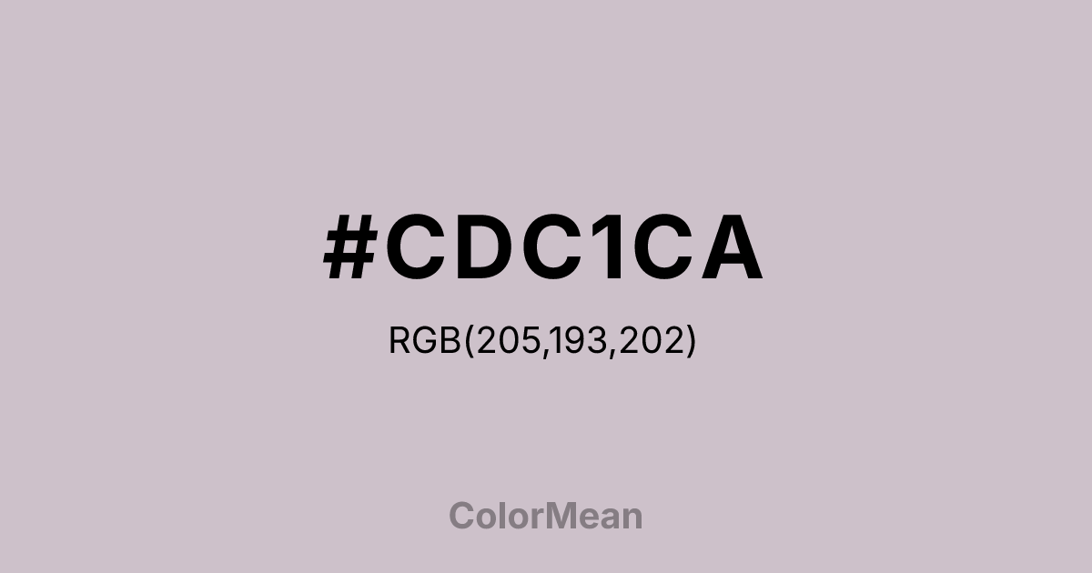#CDC1CA color swatch