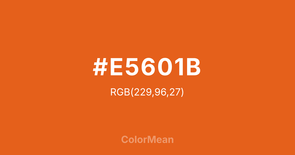 #E5601B color swatch