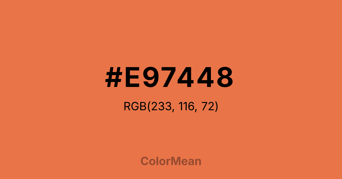 #E97448 color swatch