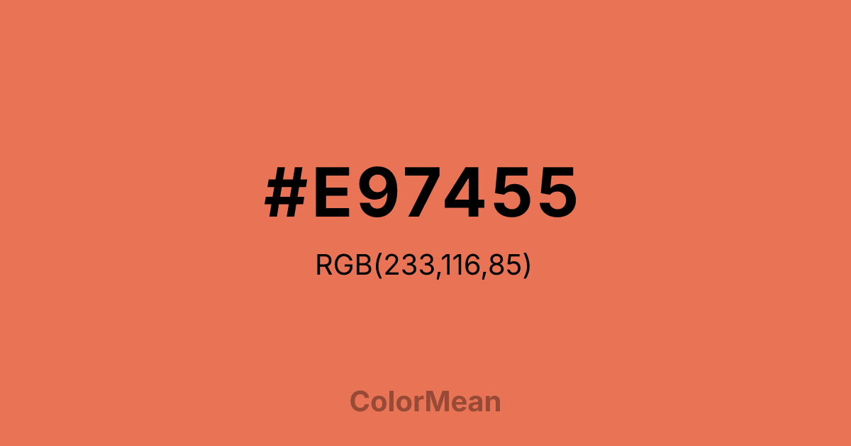 #E97455 color swatch