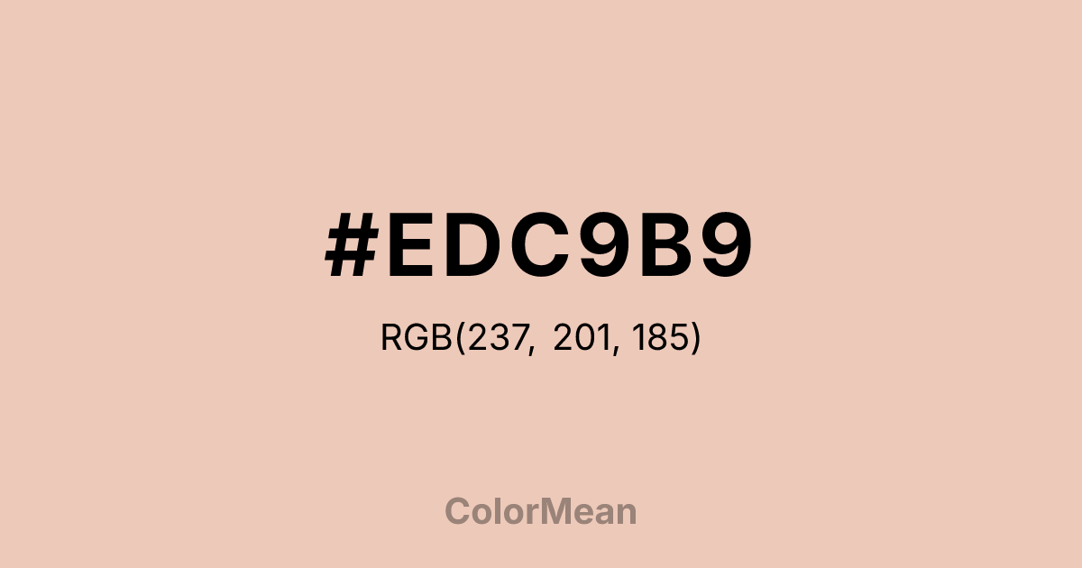 #EDC9B9 color swatch