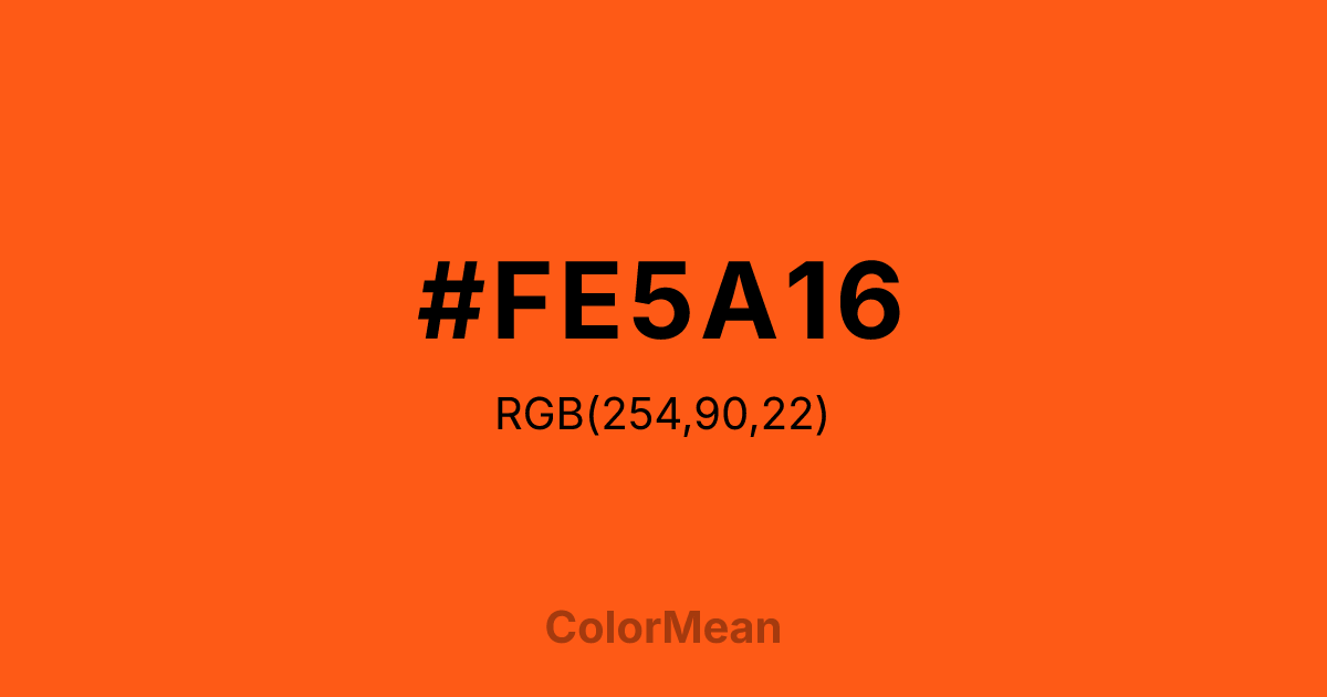 #FE5A16 color swatch
