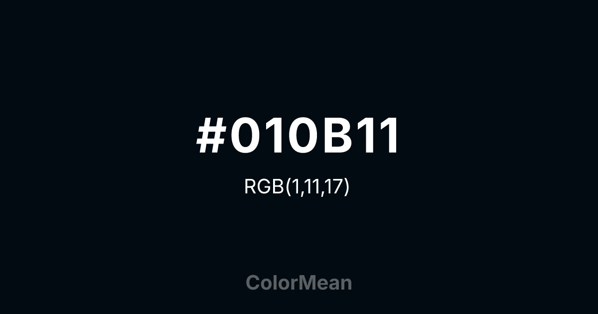 #010B11 color swatch