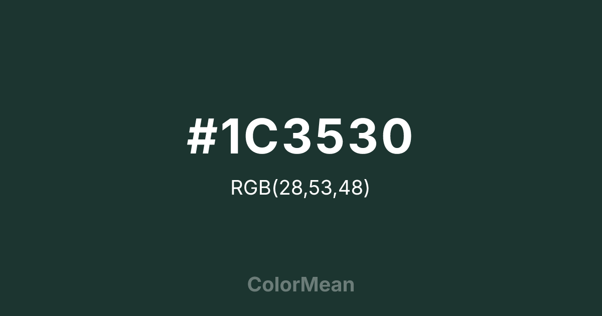 #1C3530 color swatch