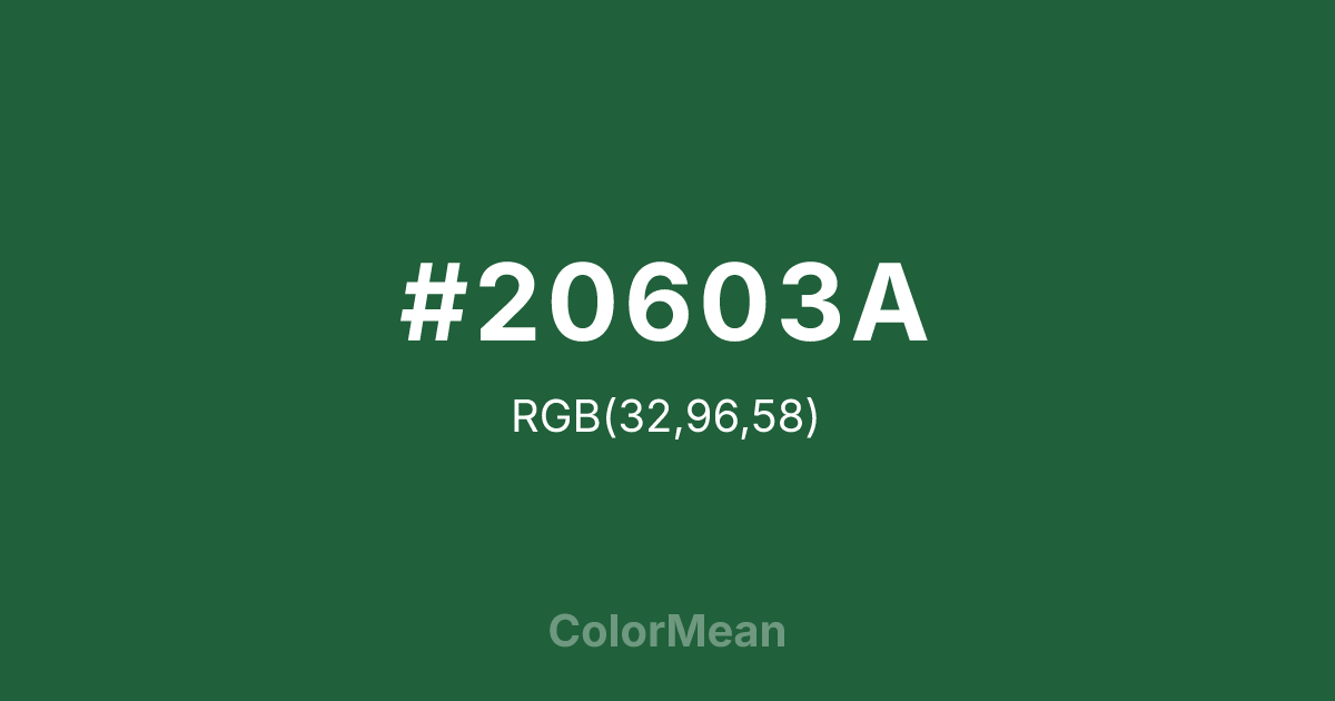 #20603A color swatch