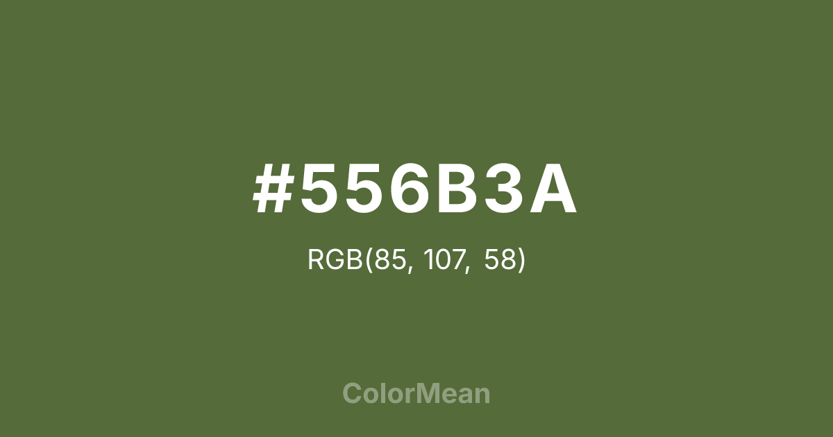 #556B3A color swatch
