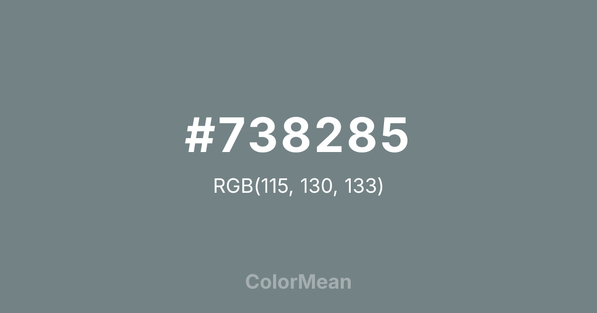 #738285 color swatch