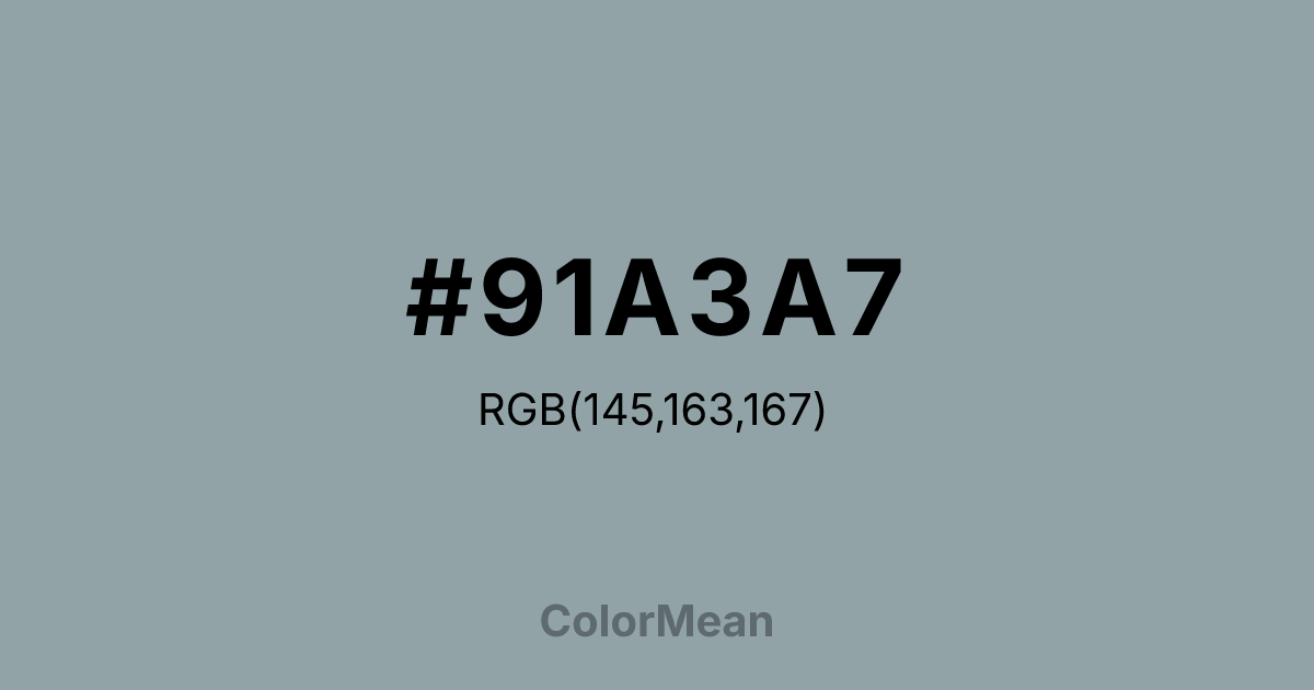 #91A3A7 color swatch