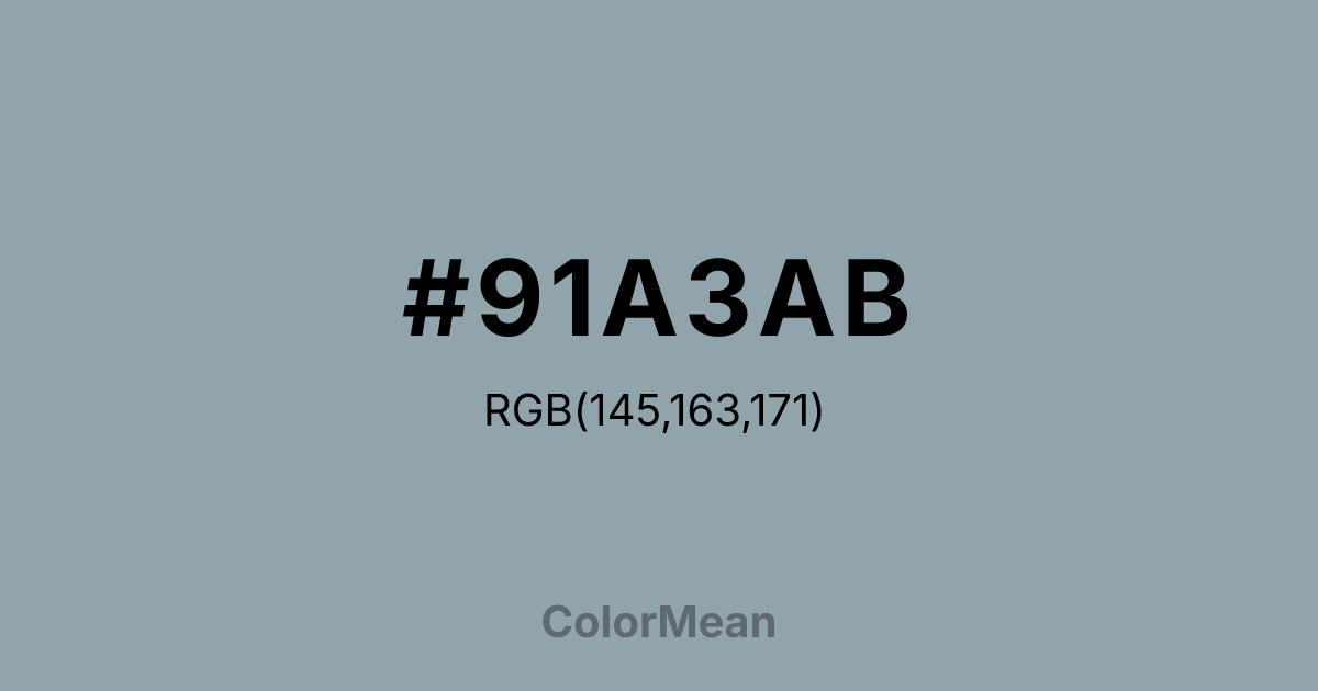 #91A3AB color swatch