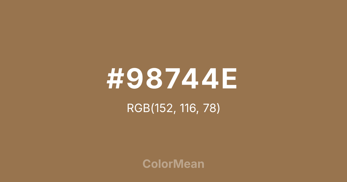 #98744E color swatch