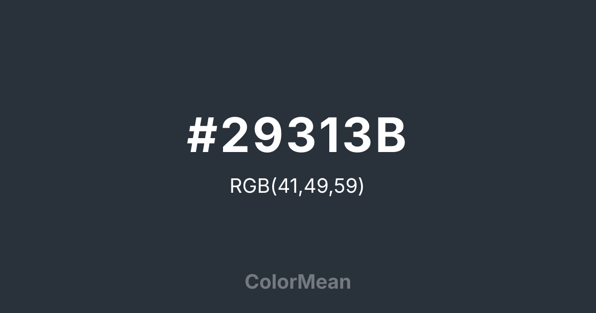 Color swatch image showing #29313B with RGB(41,49,59) values