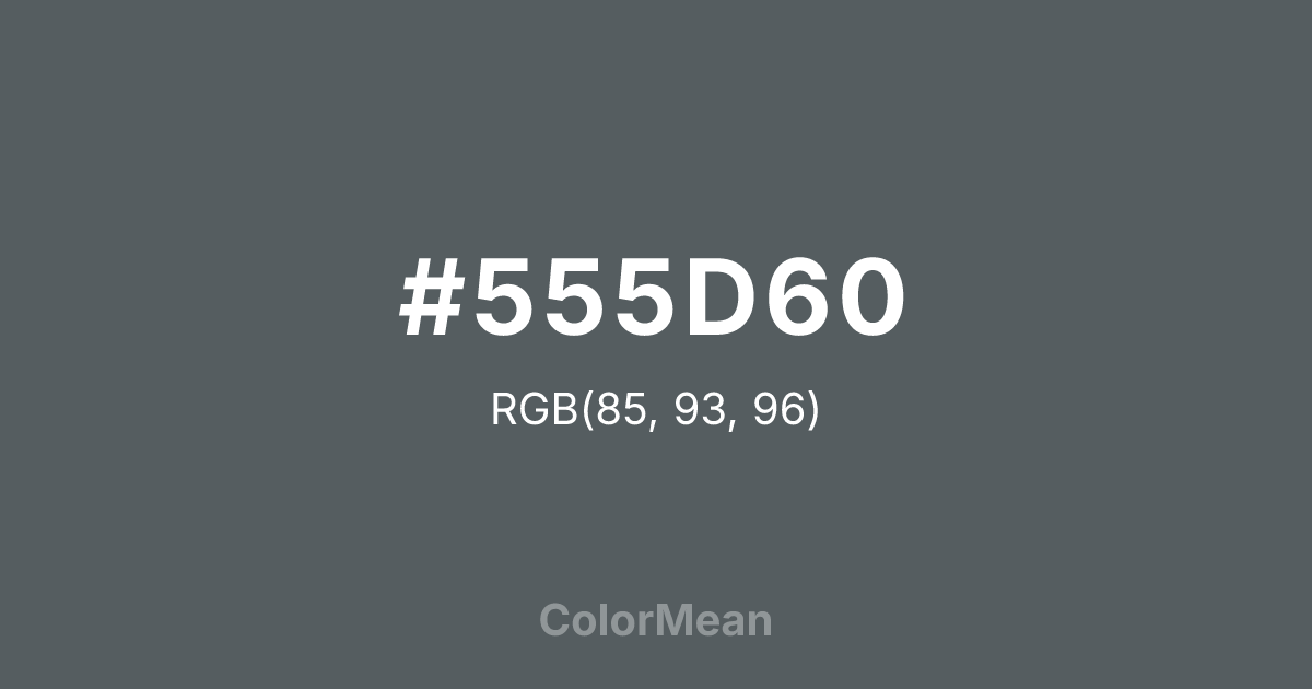 Color swatch image showing #555D60 with RGB(85,93,96) values
