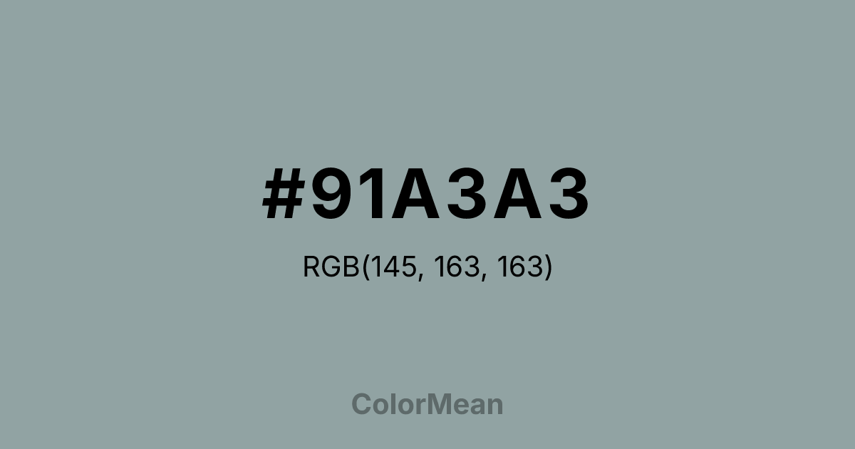 Color swatch image showing #91A3A3 with RGB(145,163,163) values