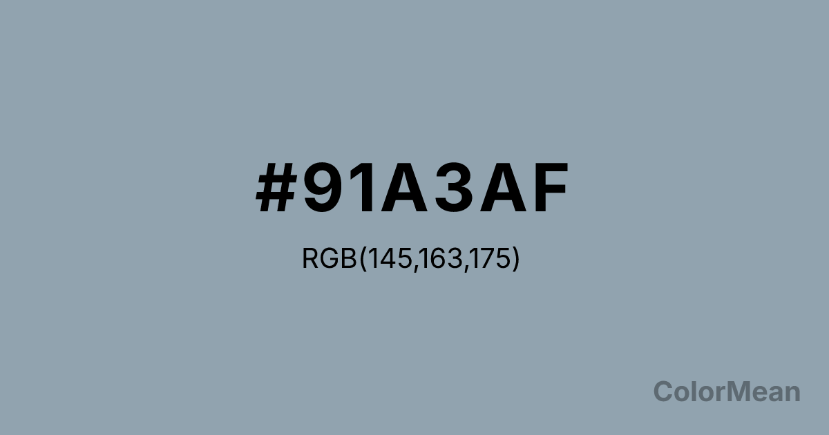 Color swatch image showing #91A3AF with RGB(145,163,175) values