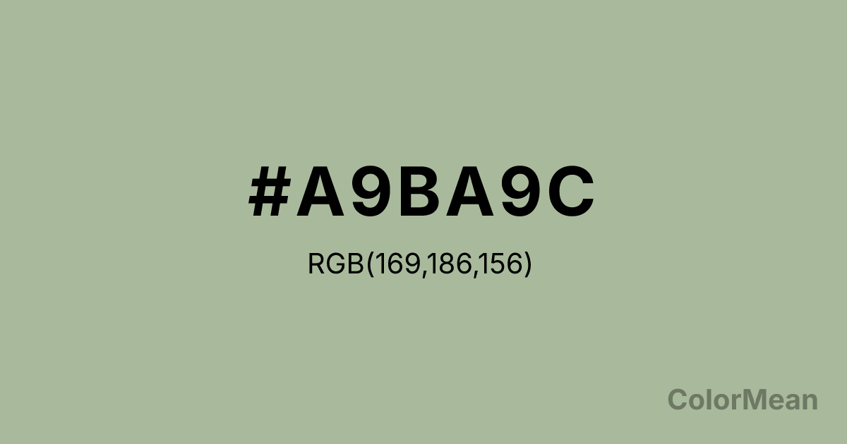 Color swatch image showing #A9BA9C with RGB(169,186,156) values
