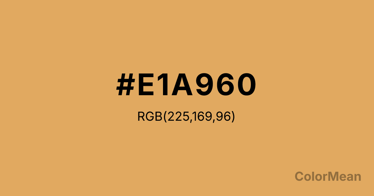 Color swatch image showing #E1A960 with RGB(225,169,96) values